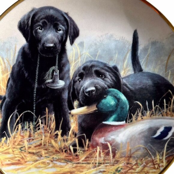 Franklin Mint 1991 Beginners Luck Labradors Porcelain Plate Collectible Vintage - Picture 3 of 6